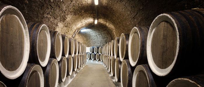 Wine barrels in a vineyard cellar